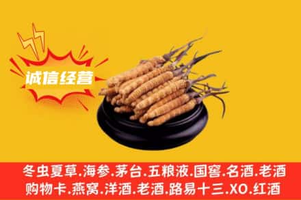 西夏区回收冬虫夏草